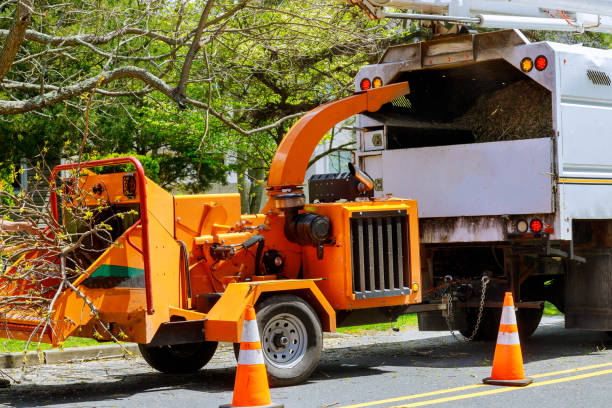 Best Utility Line Clearance  in Wintersville, OH